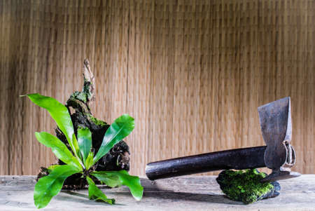 axe take still life photoの写真素材