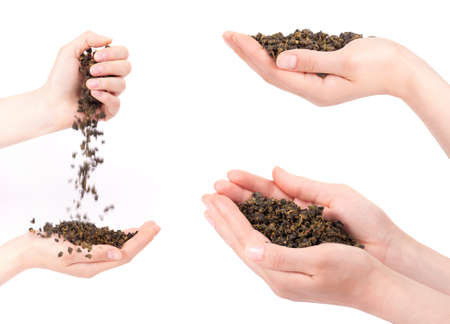 collecyion of woman hands offering tea isolated on a white backgroundの写真素材