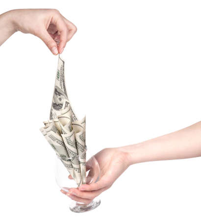 money flower business concept present isolated on a white backgroundの写真素材