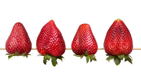 fresh red strawberry collection isolated on a white backgroundの写真素材