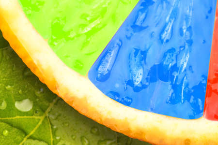 Abstract multicolored fruit macro background