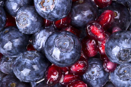 Freshly picked blue berries with water dropsの写真素材