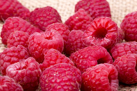 A beautiful selection of freshly picked ripe red raspberries.の写真素材