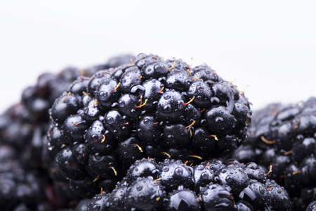 Fresh Ripe Blackberries with water drops macro backgroundの写真素材
