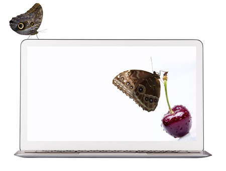 laptop with cherry and butterfly isolated on a white backgroundの写真素材