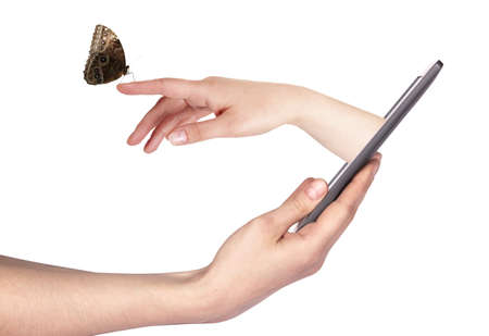 digital tablet side view with  butterfly on woman's hand. In motion isolatedの写真素材
