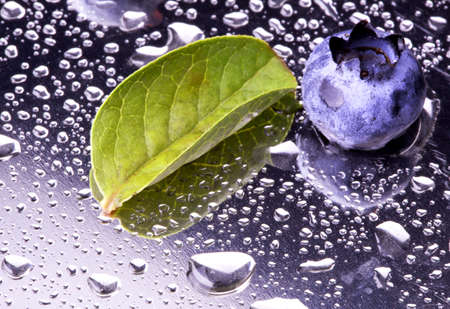 Fresh Bilberries  Close-up backgroundの写真素材