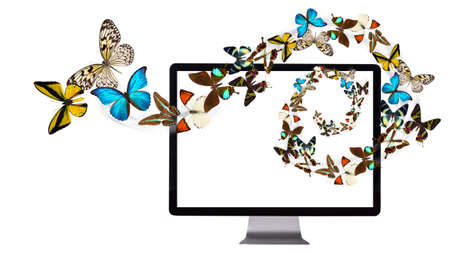 concept design, butterfly flying out from computerの写真素材