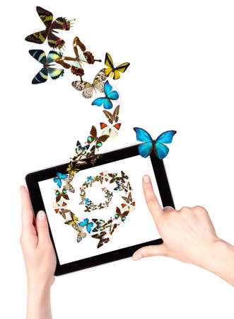 concept design, butterfly flying out from tablet computerの写真素材