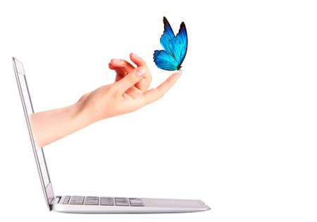 Laptop side view with  butterfly on woman's hand. In motion isolated