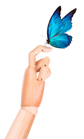 butterfly on wooden hand. In motion concept isolatedの写真素材