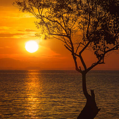 beautiful sunset with colorful skyの写真素材