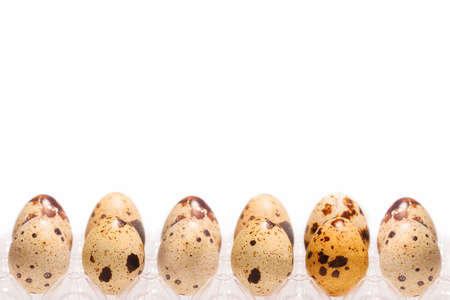 Quail eggs in a boxの写真素材