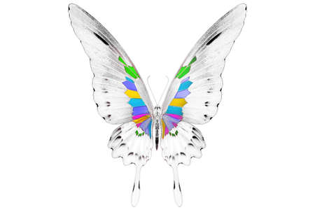 Black and white image of butterfly with colorful wings. Invert image on white backgroundの写真素材