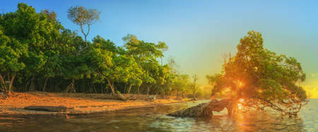 Beautiful sunrise over the tropical beach, Thailand. Vacation and background conceptの写真素材