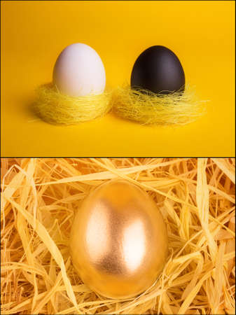 business concept background with a black egg surrounded by normal eggs