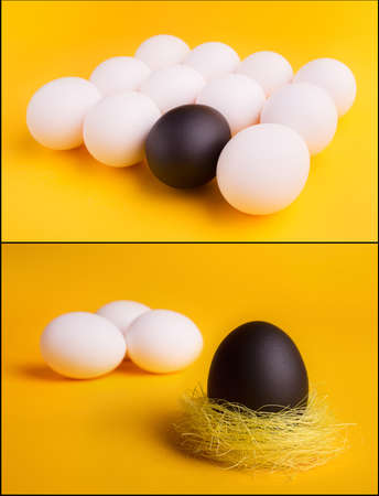 business concept background with a black egg surrounded by normal eggsの写真素材