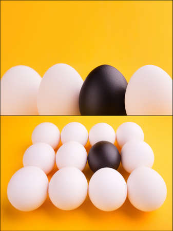 business concept background with a black egg surrounded by normal eggsの写真素材