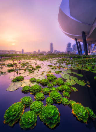 Singapore skyline backgroundの写真素材