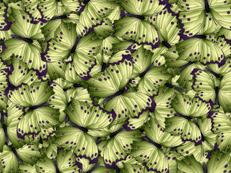 Seamless pattern with lot of different butterflysの写真素材