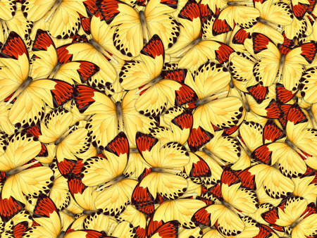 Seamless pattern with lot of different butterfliesの写真素材