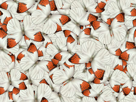 Seamless pattern with lot of different butterflysの写真素材