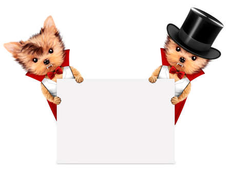 Funny Dracula. Halloween and Dead day concept.の写真素材