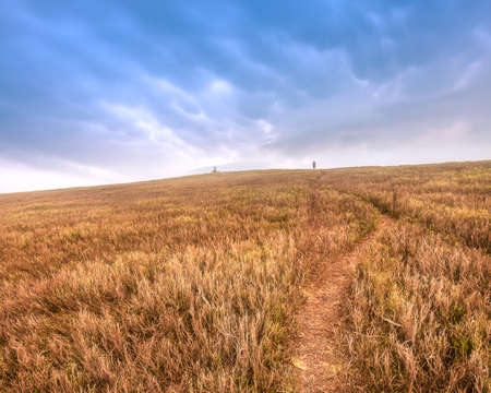 Wheat field with yellow grass in autumn, Ukraineの写真素材