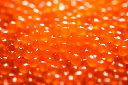 Closeup of natural red caviar as background, texture of expensive luxury fresh orange caviar macro photo. Delicatessenの素材