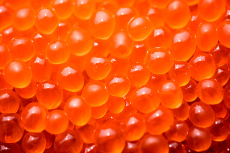 Closeup of natural red caviar as background, texture of expensive luxury fresh orange caviar macro photo. Delicatessenの素材