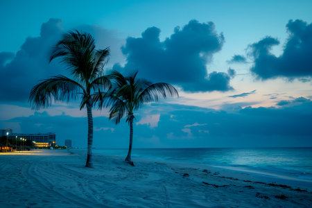 Two palm tree stands tall on sandy beach at night. The calm turquoise ocean extends beyond, reflecting the bright sunlight.の素材