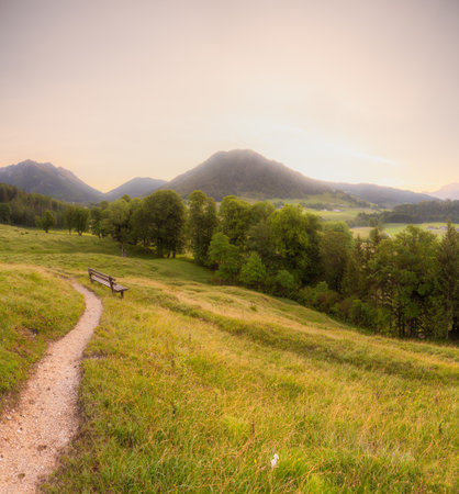 Meadow with road and bench near Hintersee lake during sunset in Berchtesgaden National Park, Upper Bavarian Alps, Germany, Europe. Clipping path of skyの写真素材