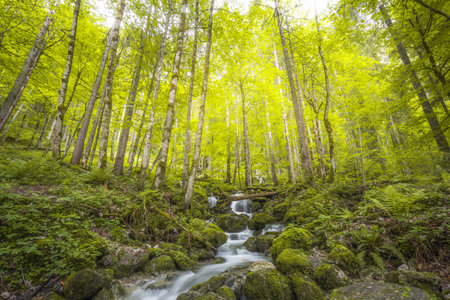 Beautiful view of Rothbach Waterfall near Konigssee lake in Berchtesgaden National Park, Upper Bavarian Alps, Germany, Europe. Beauty of nature concept background.の写真素材