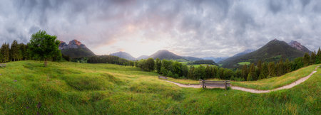 Meadow with road and bench near Hintersee lake in Berchtesgaden National Park, Upper Bavarian Alps,...