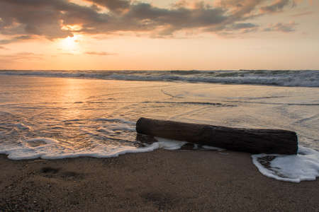 A stump on the beach with sunsetの写真素材