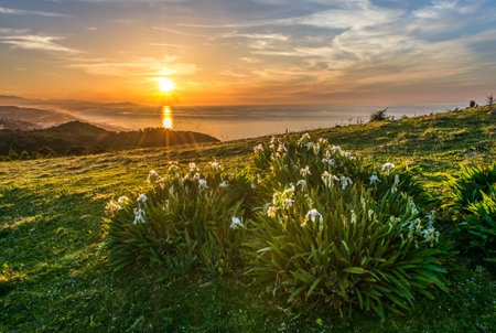 Mountain valley during sunset. Natural spring landscape, Mountains during sunrise. Beautiful natural landscape in the summer time, Grass on mountain hill during sundown. Beautiful summer landscapeの写真素材