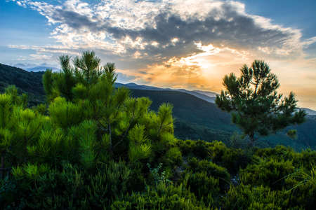 Tree sunset, Colorful sky with sunset and big tree , Abstract background, Alone tree mountain at sunset with sun, sunset treeの写真素材