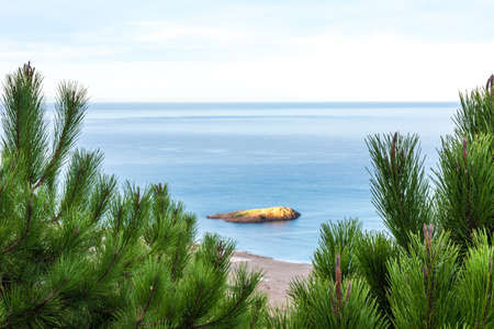 Beautiful view from the mountain of an island between two pine trees at sunrise, watching the island...