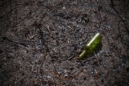 Burned park.の写真素材