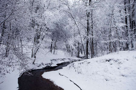 Winter landscape with the river in frosty day.の写真素材
