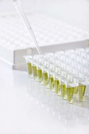 Plastic tubes for DNA amplification and loading pipetteの写真素材