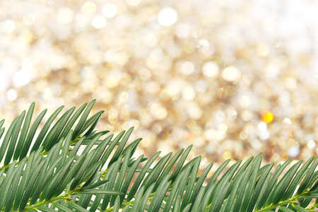 Abstract, holiday background. Tree branch on silver blur background