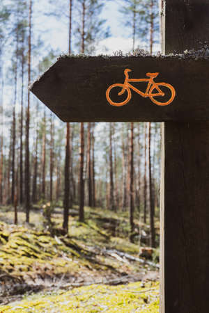 Road sign for bicycles on a beautiful sunny day in the middle of the forest. Green light for sports concept. Healthy living and workout in nature.の写真素材