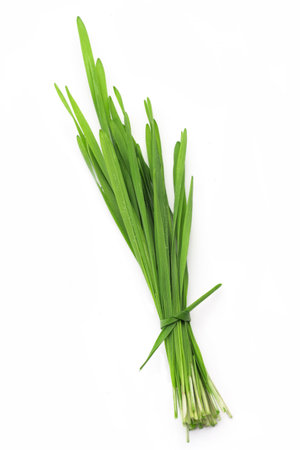 A bundle of green wheatgrass for  wheat grass juice making isolated on whiteの写真素材