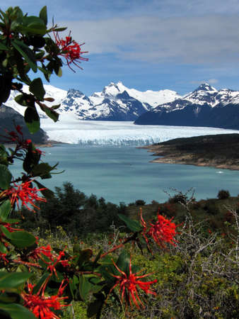 moreno glacier in argentinaの写真素材