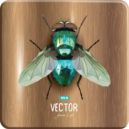 Emerald polygonal fly sitting on a wooden surface, vector illustration, eps-10のイラスト素材