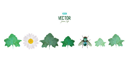 Emerald polygonal fly, green leaves and white daisy, design, vector illustration, eps-10のイラスト素材