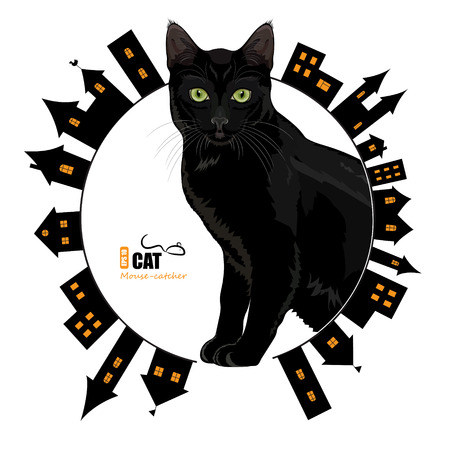 Green-eyed black cat on a background of old city, isolated on white, vector illustrationのイラスト素材