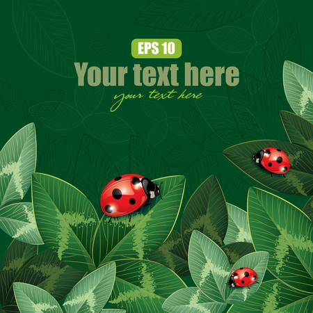 Ladybug sitting on clover leaves, design, vector illustration, eps-10のイラスト素材