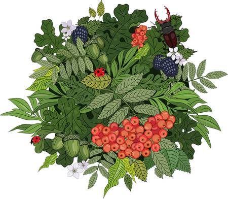 Design of forest plants.のイラスト素材